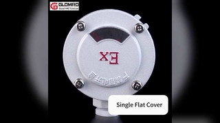 Caja de conexiones a prueba de explosiones GLO-AH