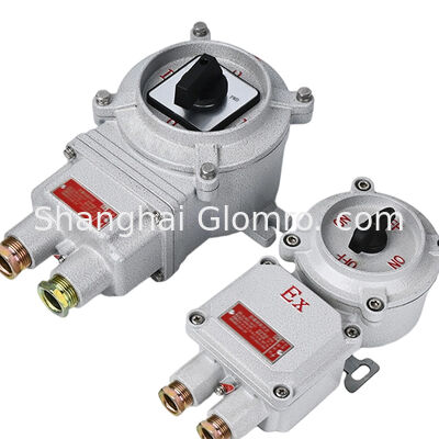 IP66 Ex Iic Explosion-Proof Transfer Switch 10A-32A 220V/380V 360 Rotation Aluminum Alloy Hazardous Area Control Switch
