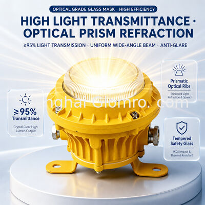 Heat Resistant 5W Maintenance-free Explosion-proof Lamp Tempered Glass Lens IP65 High Temperature Area Lighting