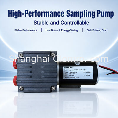 BAXIT PM33387-96 Corrosion Resistant Gas Sampling Pump DC24V Micro Diaphragm Pump for CEMS VOC Flue Gas Sampling