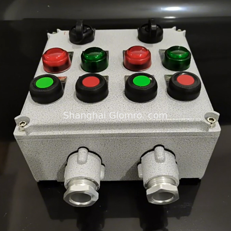 Explosion-Proof Two-Button Operation Box Anti-Corrosive Power Distribution Equipment with Two Indicators