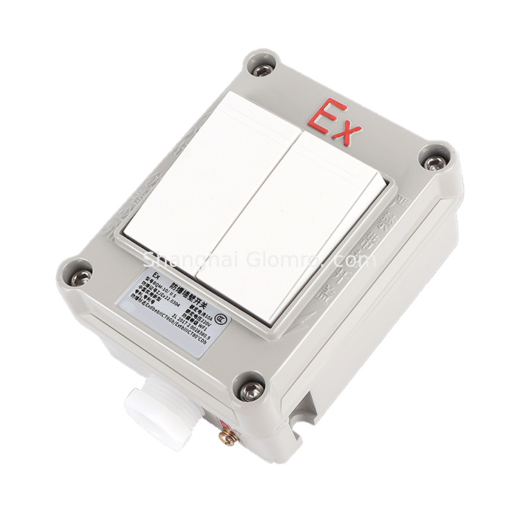 ATEX Explosion Proof Die-Cast Aluminum Switch 220V 380V IP66 Explosion Proof light Switch uk wall switches