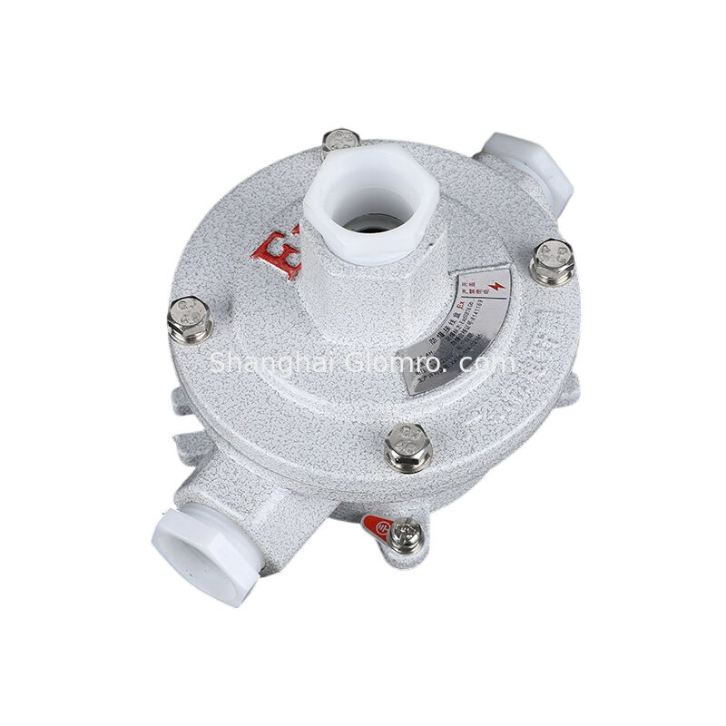 AH-IIB Type G Double Hanger Type Explosion-proof Junction Box, Exd IIB T6 IP65 Aluminum Alloy