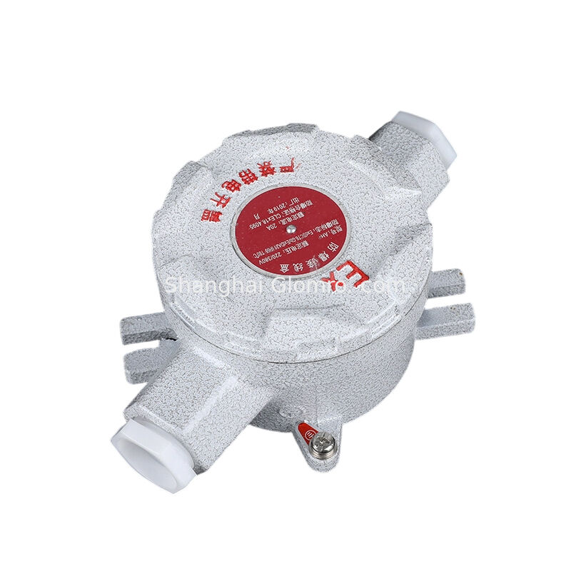 Exd IIC T6 AH-IIC/Type B Double Flat Covers Box, IP65 Waterproof and Dustproof, Aluminum Alloy High Impact Resistance