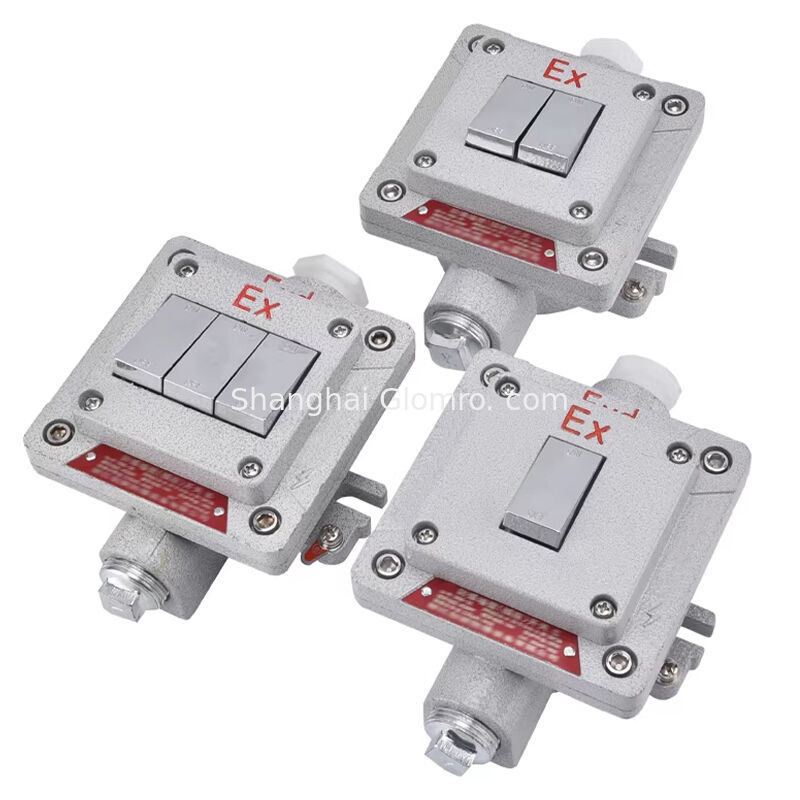 Flameproof Type Explosion-proof Wall Switch Surface-mounted Explosion-proof, Dust-proof and Water-resistant