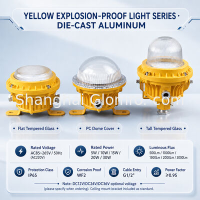 GLOMRO Luz de área LED a prueba de explosión de carga pesada 30W SMD 3000Lm AC85V-265V para plantas petroquímicas