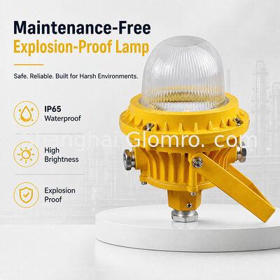 GLOMRO 30W Lámpara a prueba de explosión libre de mantenimiento cubierta de vidrio templado para almacenes gasolineras Instalación colgante