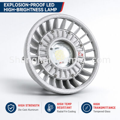 Luz a prueba de explosión LED 20W/30W/40W/50W/60W/70W/80W/100W/120W IP66 Iluminación de ubicación peligrosa de aluminio fundido a presión Opciones de potencia múltiples